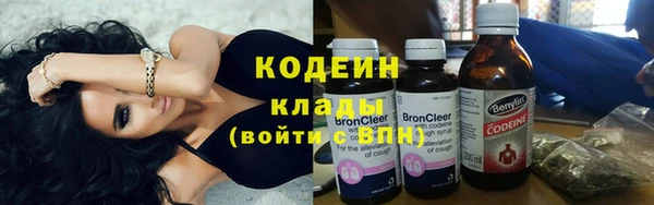 индика Ладушкин