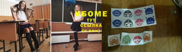 индика Ладушкин