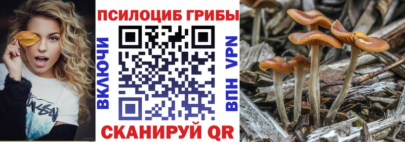 blacksprut зеркало  Усолье  Галлюциногенные грибы GOLDEN TEACHER  закладки 